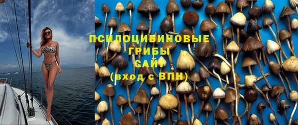 гашик Тольятти