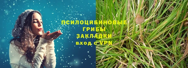 гашик Тольятти