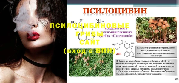 гашик Тольятти