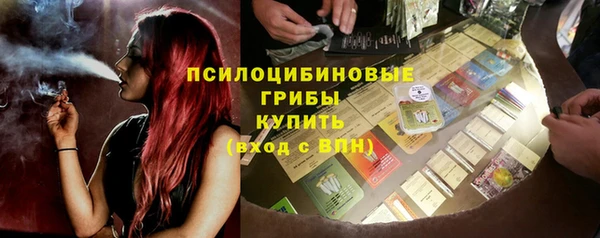 гашик Тольятти